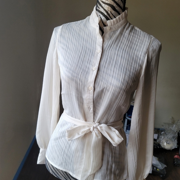 BRAND NEW, Express XXS swan button down blouse with hip tie - Picture 3 of 12